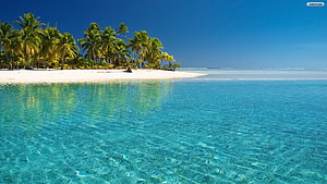 Tropical Island Paradise With Crystal Clear Turquoise Water And Palm Trees HD wallpaper