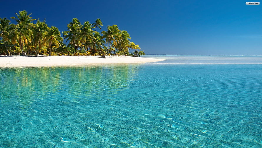 Tropical Island Paradise With Crystal Clear Turquoise Water And Palm Trees HD wallpaper