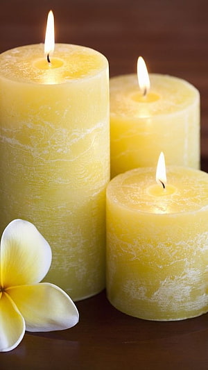 Three lit yellow pillar candles with a white plumeria flower on a dark wooden surface HD phone wallpaper