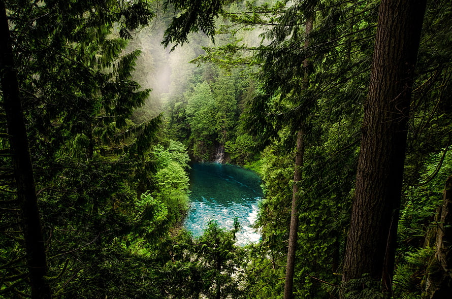 Misty Emerald River Pool in a Lush Evergreen Forest with Waterfall HD wallpaper