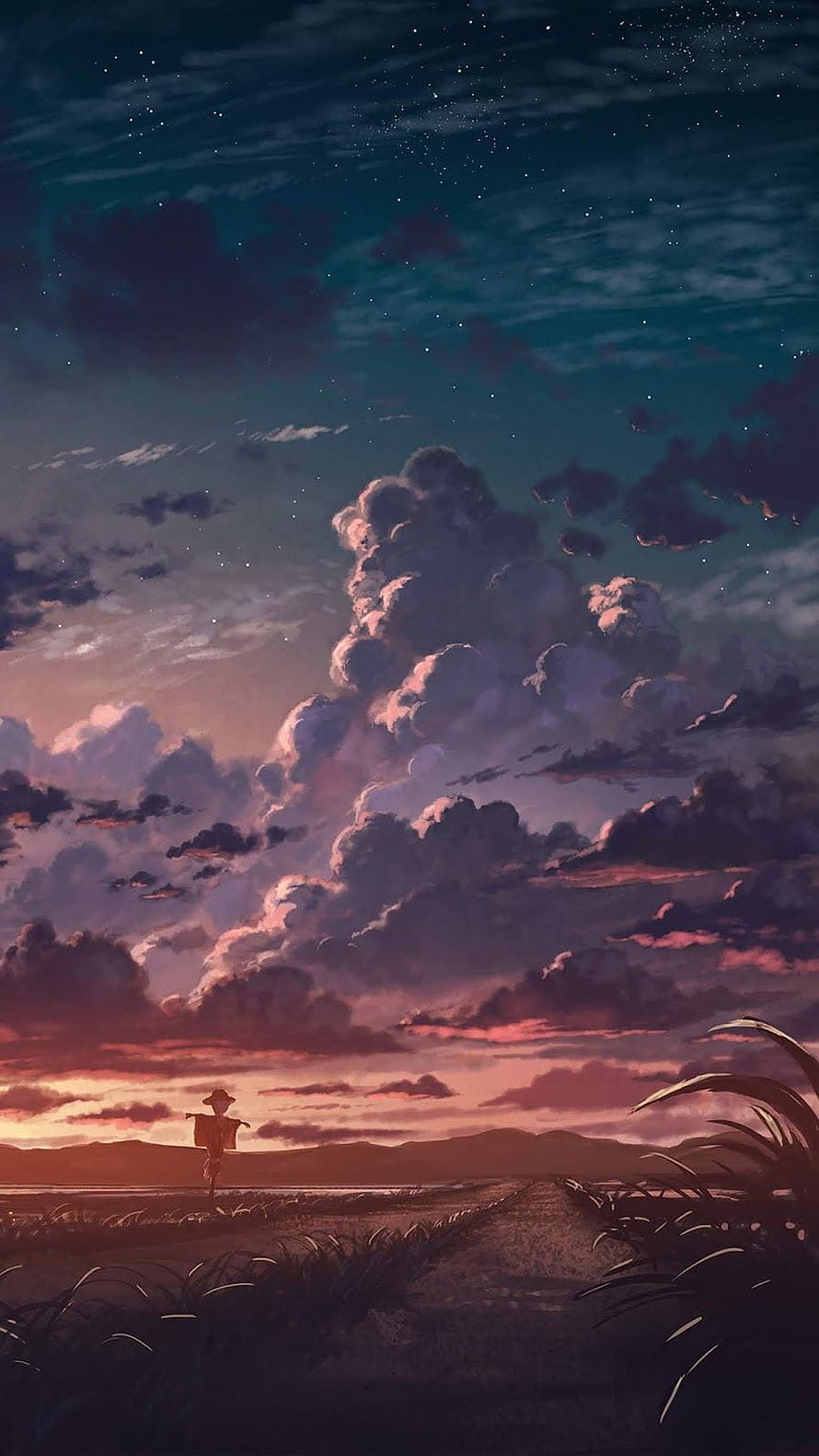 Anime-style sunset landscape with a lone traveler walking through a grassy field under a dramatic starry sky HD phone wallpaper