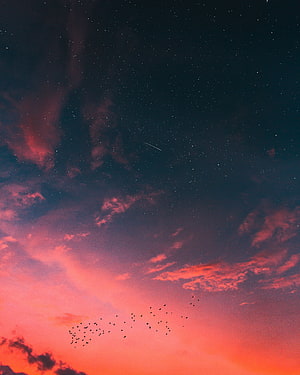 Vivid sunset sky with scattered stars, drifting clouds, and a flock of birds in flight HD phone wallpaper
