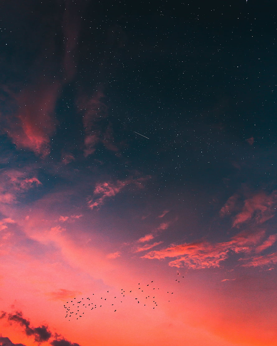 Vivid sunset sky with scattered stars, drifting clouds, and a flock of birds in flight HD phone wallpaper