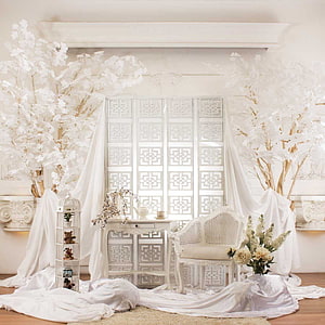 Elegant All-White Indoor Wedding Photo Backdrop with Floral Trees and Draped Fabric HD phone wallpaper