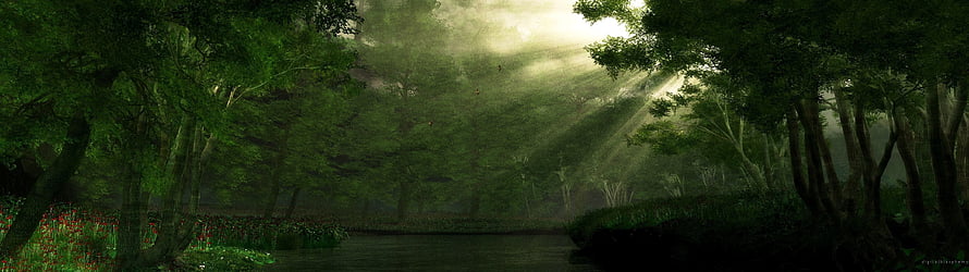 Sunbeams Piercing Through a Misty Forest Over a Calm River HD wallpaper