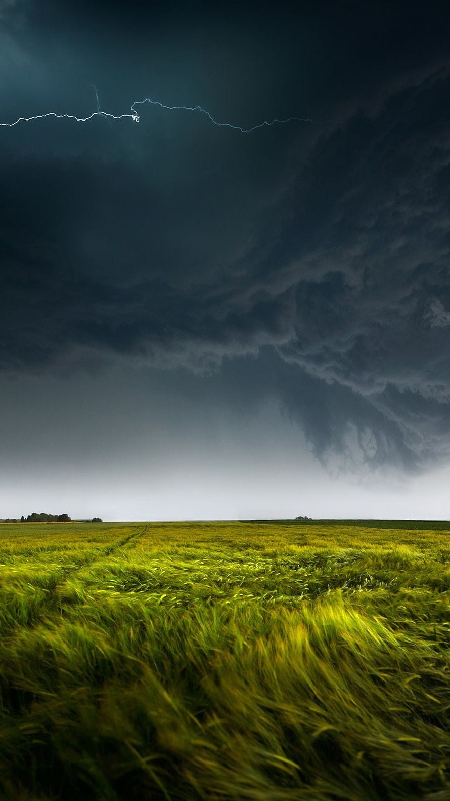 Dramatic Lightning Strike Over a Vast Green Wheat Field Under Dark Storm Clouds HD phone wallpaper