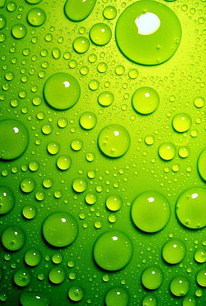 Vibrant Green Water Droplets Macro Photography Abstract Nature Background HD phone wallpaper