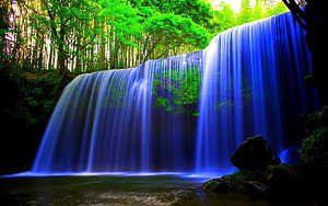 Serene Forest Waterfall with Lush Greenery and Flowing Water HD wallpaper