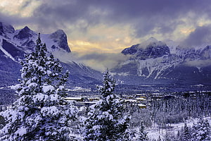 Snow-covered evergreens and a mountain town under a dramatic cloudy sky in Banff National Park HD wallpaper