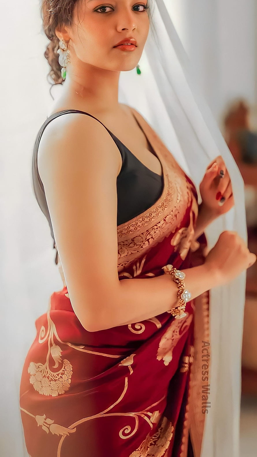 Rithika Singh in a red and gold embroidered saree with a black blouse and traditional jewelry HD phone wallpaper