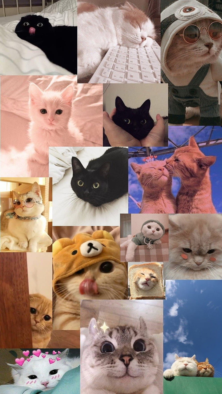 Cute Cat Collage Wallpaper Featuring Adorable Kittens and Playful Pets HD phone wallpaper