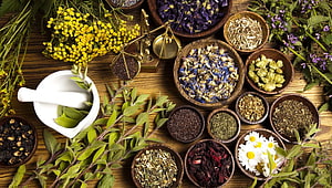 Assorted Dried Herbs and Flowers in Wooden Bowls with Mortar and Pestle on Rustic Table HD wallpaper
