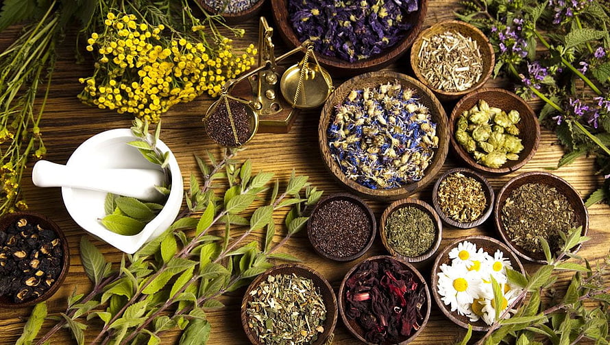 Assorted Dried Herbs and Flowers in Wooden Bowls with Mortar and Pestle on Rustic Table HD wallpaper