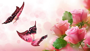 Pink Swallowtail Butterflies Dancing Among Soft Rose Blooms in a Dreamy Spring Setting HD wallpaper