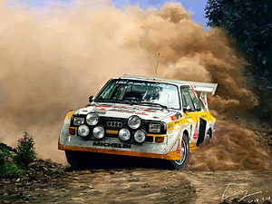 Audi Sport Quattro S1 Rally Car Kicking Up Dust on a Gravel Stage HD wallpaper