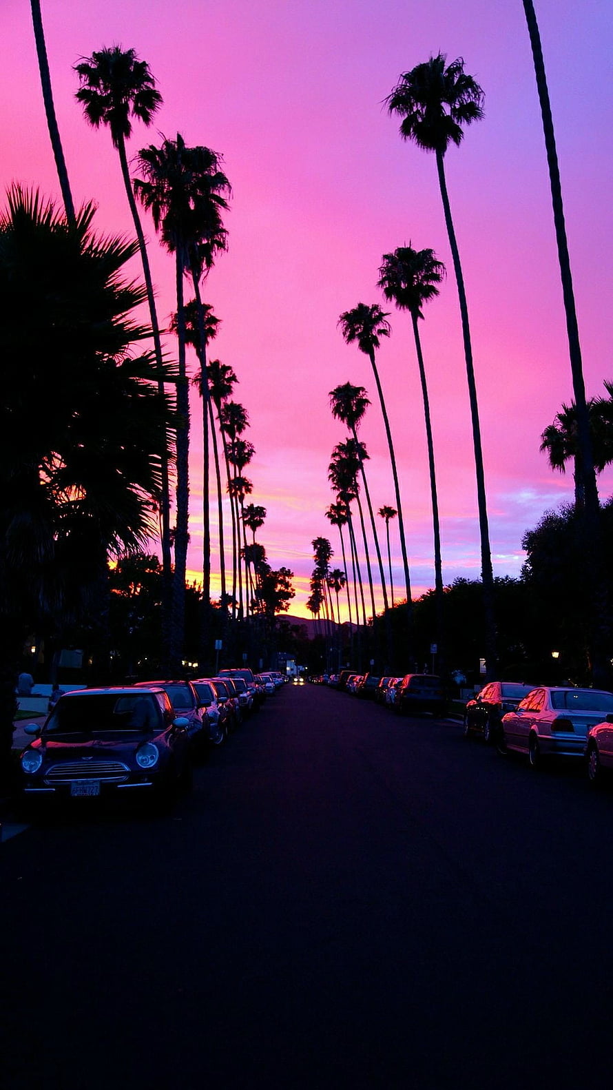 Los Angeles Sunset with Palm Trees and Parked Cars on a Quiet Street HD phone wallpaper