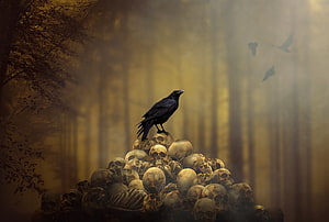 Black Raven Perched on a Pile of Human Skulls in a Misty Golden Forest HD wallpaper