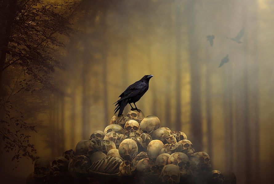 Black Raven Perched on a Pile of Human Skulls in a Misty Golden Forest HD wallpaper