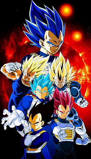 Vegeta Transformation Lineup in Dragon Ball Super Anime Artwork HD phone wallpaper