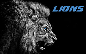 Detroit Lions Fierce Roaring Lion Profile with Blue Eyes on Black Background HD wallpaper