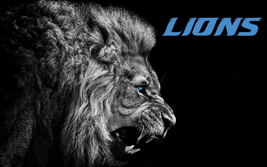 Detroit Lions Fierce Roaring Lion Profile with Blue Eyes on Black Background HD wallpaper
