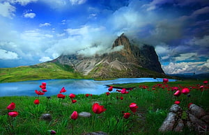 Alpine Lake with Red Poppy Meadow and Dramatic Mountain Peak Under Cloudy Sky HD wallpaper