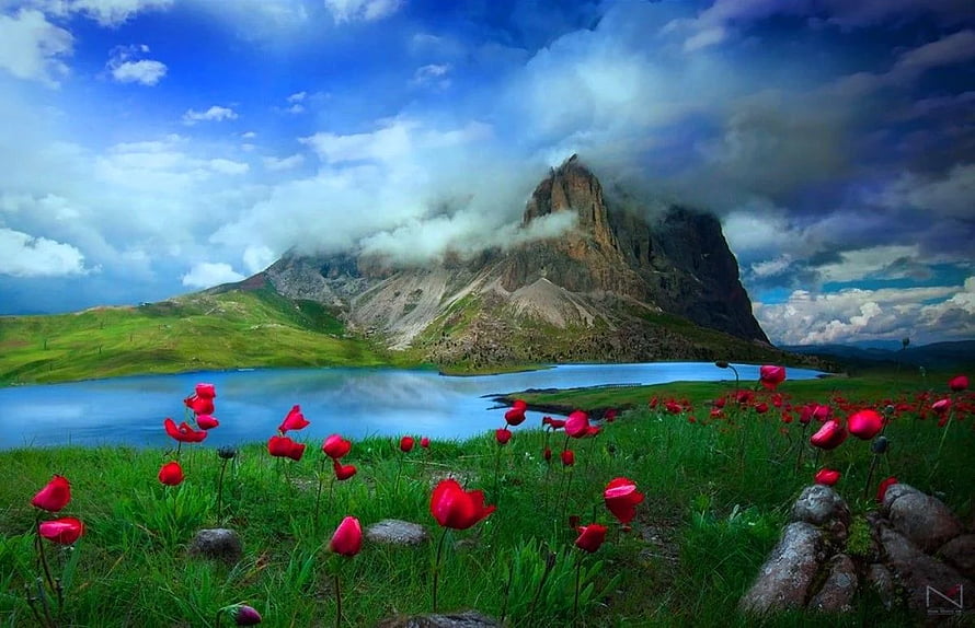 Alpine Lake with Red Poppy Meadow and Dramatic Mountain Peak Under Cloudy Sky HD wallpaper