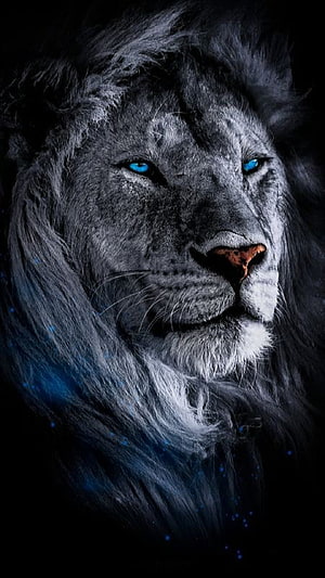 Majestic White Lion Portrait with Glowing Blue Eyes and Dark Background HD phone wallpaper