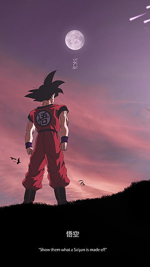 Son Goku Standing on a Hill Under a Full Moon in Dragon Ball Anime Art HD phone wallpaper