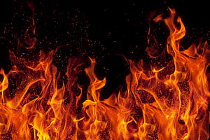 Vibrant Orange Flames and Glowing Embers Against a Deep Black Background HD wallpaper