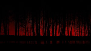 Eerie Red Sky Silhouetted Forest Reflection in Dark Water HD wallpaper