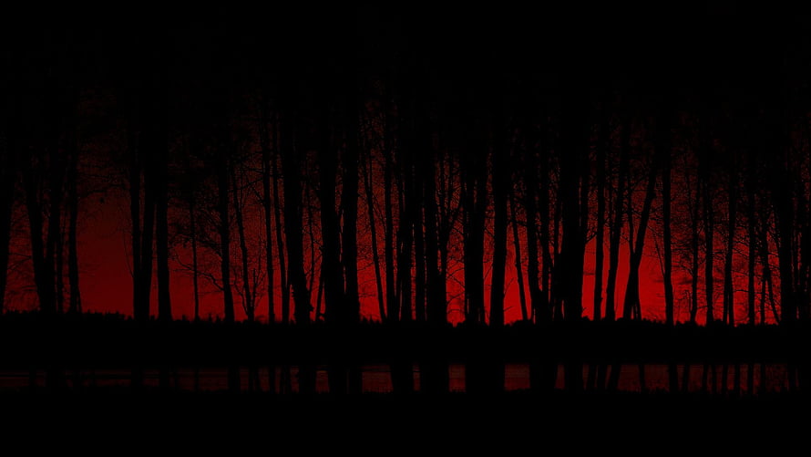 Eerie Red Sky Silhouetted Forest Reflection in Dark Water HD wallpaper
