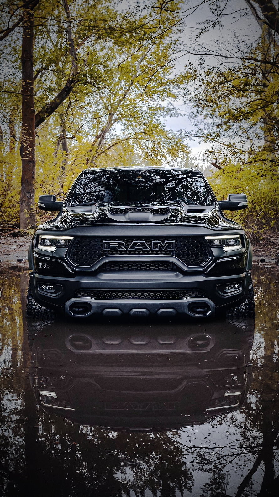 Black Ram TRX Off-Road Truck Front View in Forest Water Reflection HD phone wallpaper