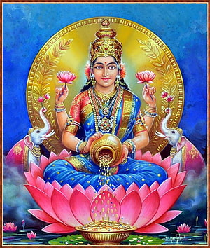 Goddess Lakshmi Seated on Lotus with Elephants and Golden Coins HD phone wallpaper