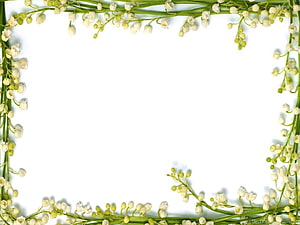 Lily of the Valley Floral Border Frame on White Background HD wallpaper