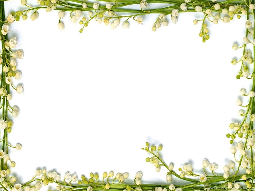 Lily of the Valley Floral Border Frame on White Background HD wallpaper