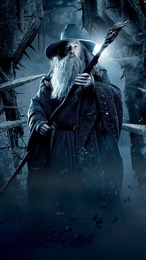 Gandalf the Grey in The Hobbit: The Desolation of Smaug Cinematic Scene HD phone wallpaper