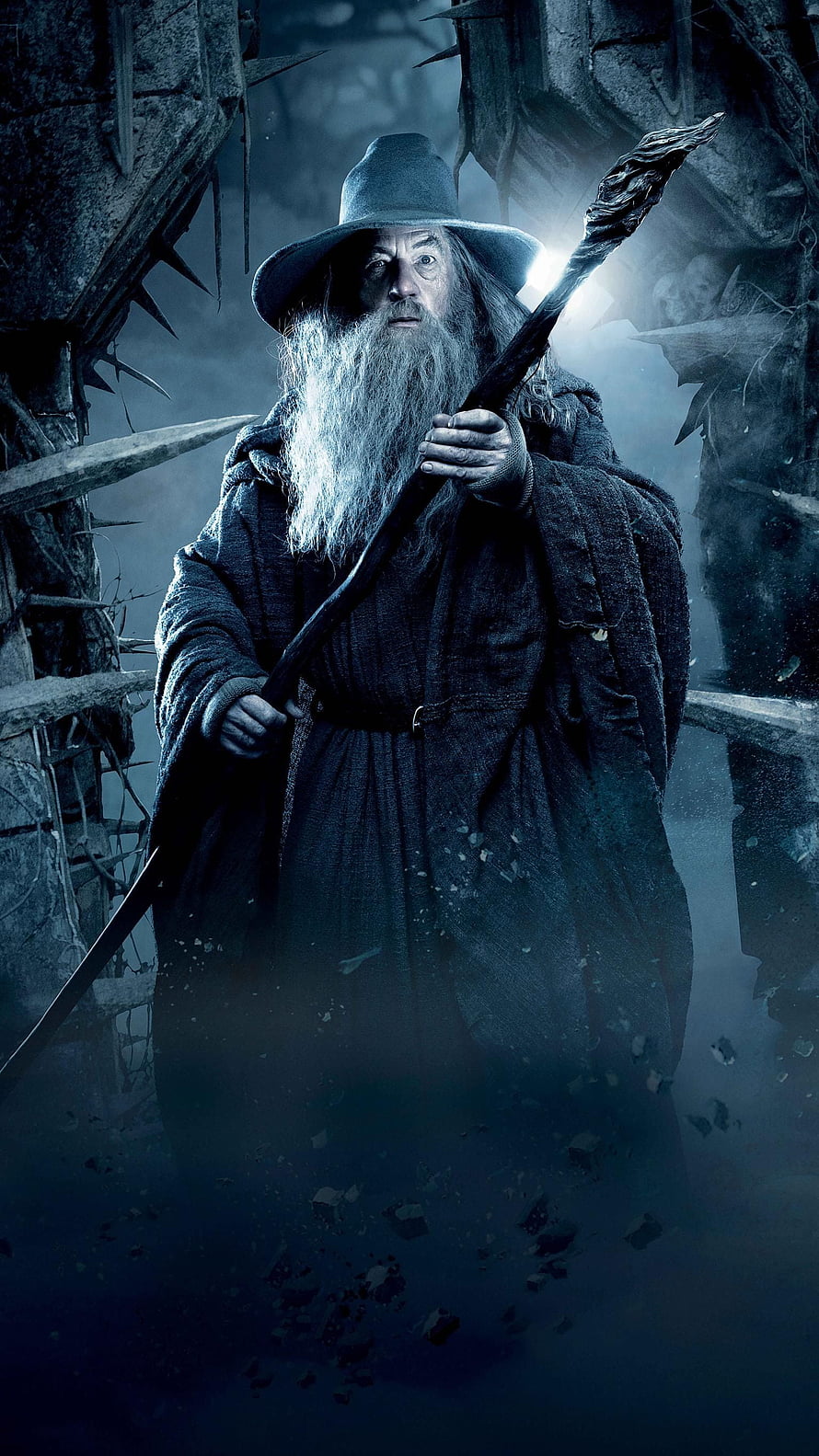 Gandalf the Grey in The Hobbit: The Desolation of Smaug Cinematic Scene HD phone wallpaper
