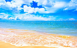 Soothing Tropical Beach Scene With Gentle Waves And Bright Blue Sky HD wallpaper