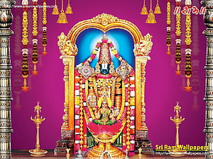 Sri Venkateswara Swamy Temple Deity with Gold Ornaments and Flower Garland HD wallpaper