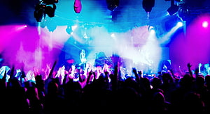 Vibrant nightclub concert scene with purple and blue stage lighting and energetic crowd HD wallpaper