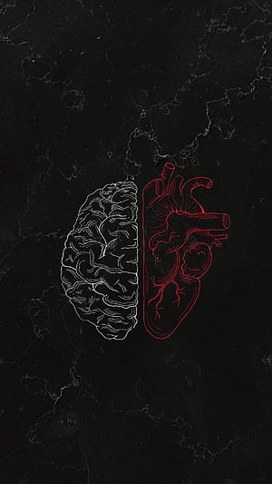 Minimalist Brain and Heart Line Art on Dark Marble Background HD phone wallpaper