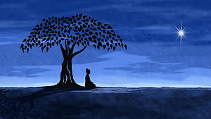 Silhouette of a Woman Meditating Under a Tree at Night with a Bright Star HD wallpaper