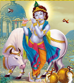 Krishna Playing Flute Beside Nandini in a Serene Pastoral Landscape HD phone wallpaper