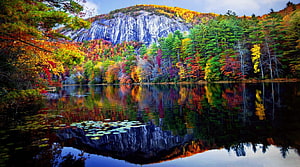 Vibrant autumn foliage reflected in a calm mountain lake with a rocky cliff backdrop HD wallpaper