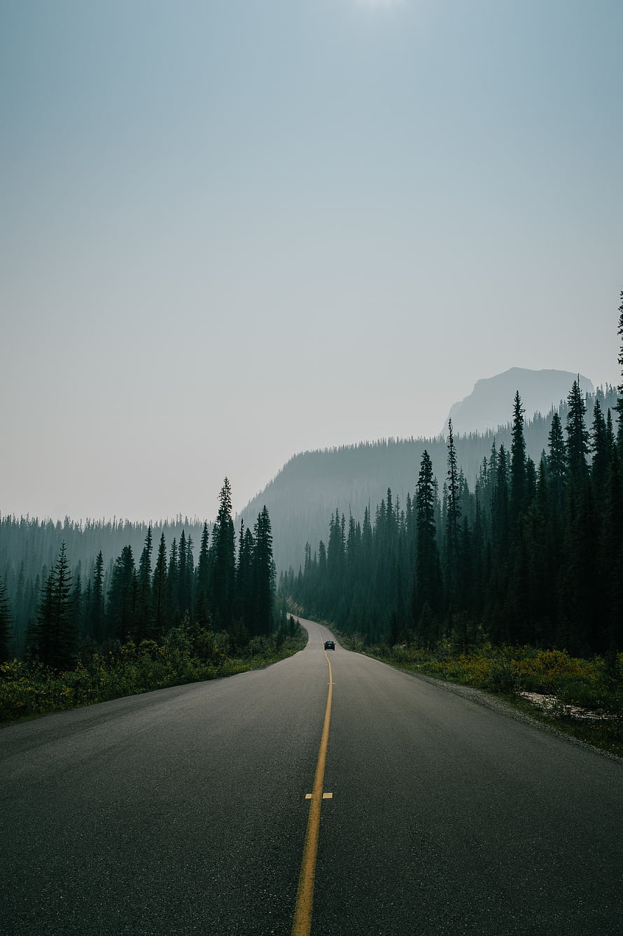 Solitary Highway Winding Through Misty Evergreen Forest and Mountain Ranges HD phone wallpaper