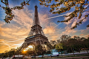 Eiffel Tower in Paris framed by spring blossoms at golden hour HD wallpaper