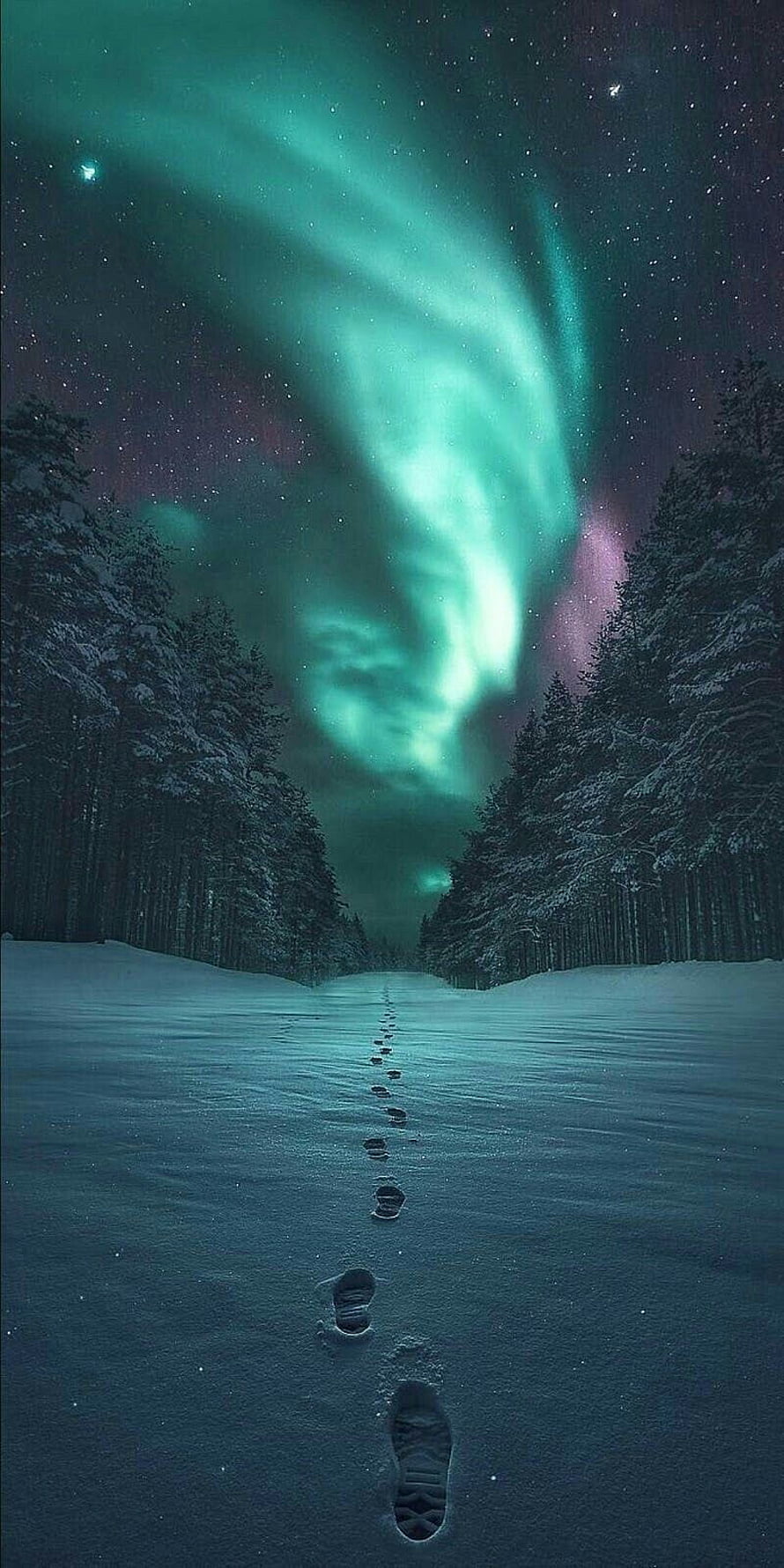 Aurora Borealis Over Snowy Pine Forest With Footprints Leading Into Winter Night HD phone wallpaper