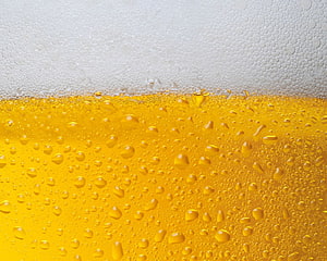 Close-Up of Golden Beer with Frothy White Head and Condensation Droplets HD wallpaper