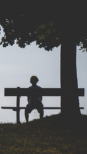 Silhouette of a young boy sitting alone on a wooden bench under a large tree in a quiet outdoor setting HD phone wallpaper